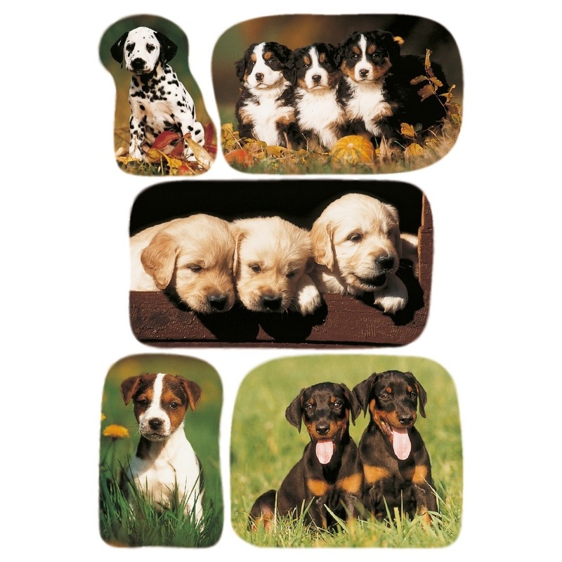 45x Honden-puppy dieren stickers