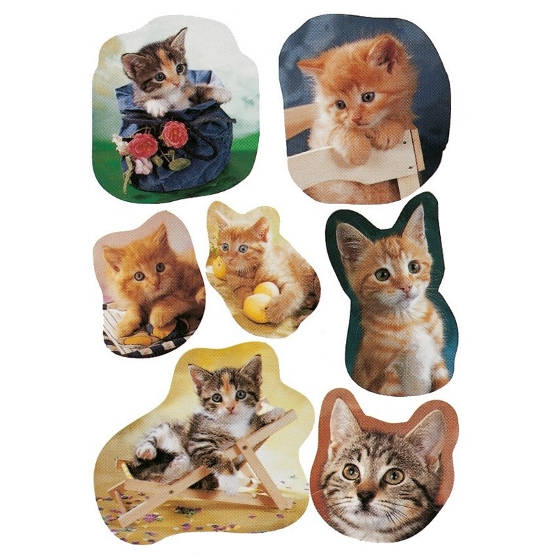63x Katten-poezen dieren stickers