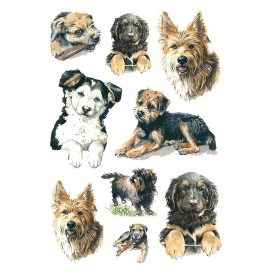 81x Honden-puppy dieren stickers