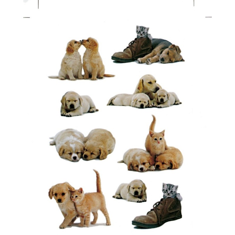 81x Honden-puppy en katten-poezen dieren stickers