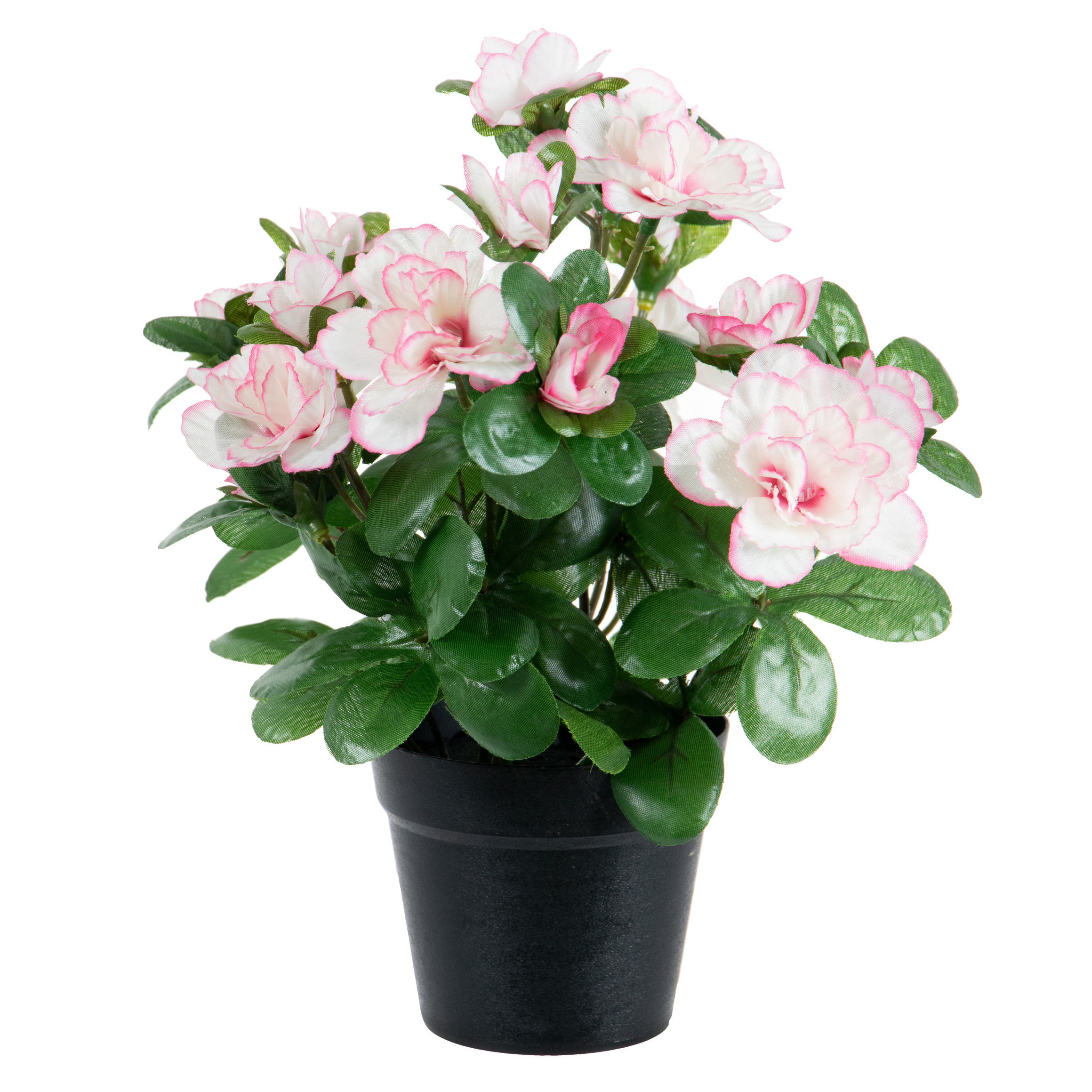 Azalea Kunstbloemen in pot wit-roze H25 cm