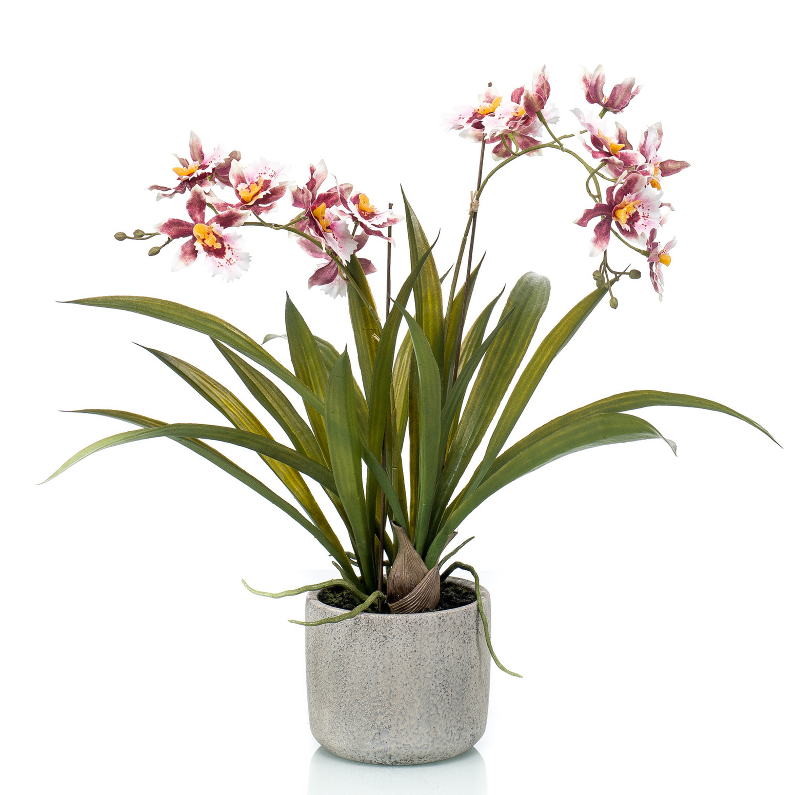 Bordeaux rode orchidee Orchidaceae kunstplant in keramische pot 45 cm