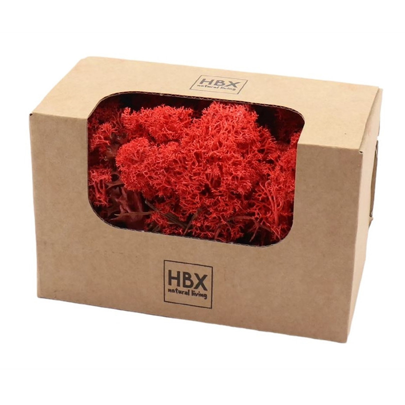 HBX Natural Living Decoratie mos rood 50 gram rendiermos hobby