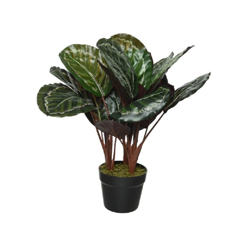 Kunstplant groene Calathea 47 cm