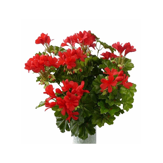 Kunstplanten Oostenrijkse geranium rood 40 cm