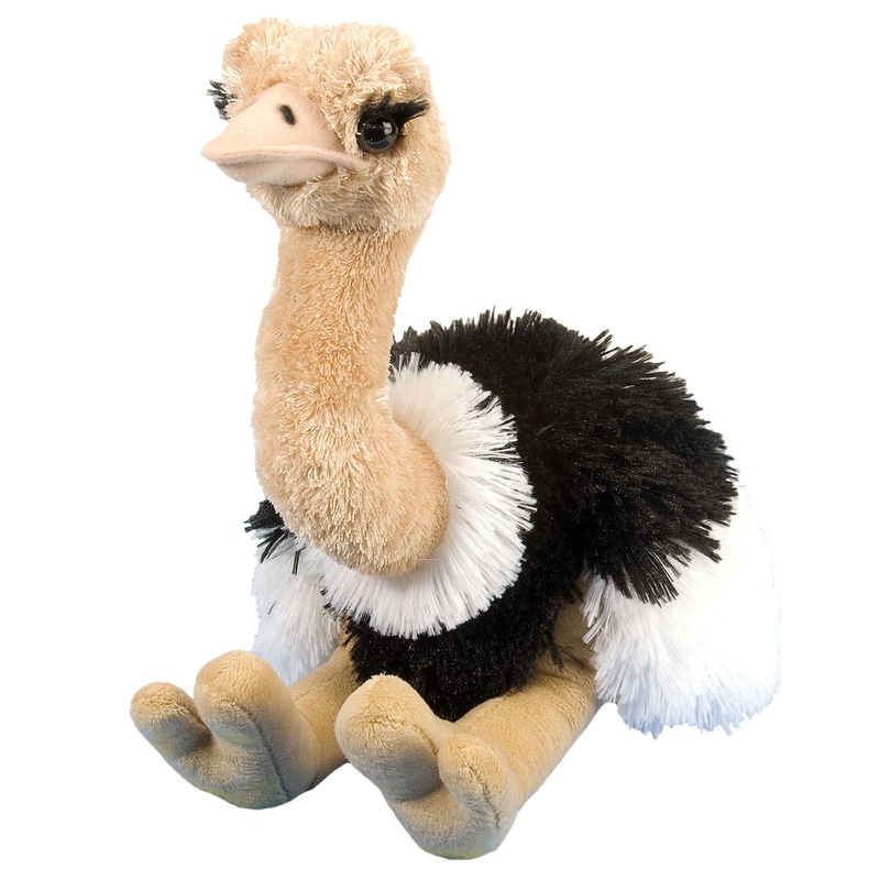 Pluche struisvogel knuffel 35 cm speelgoed