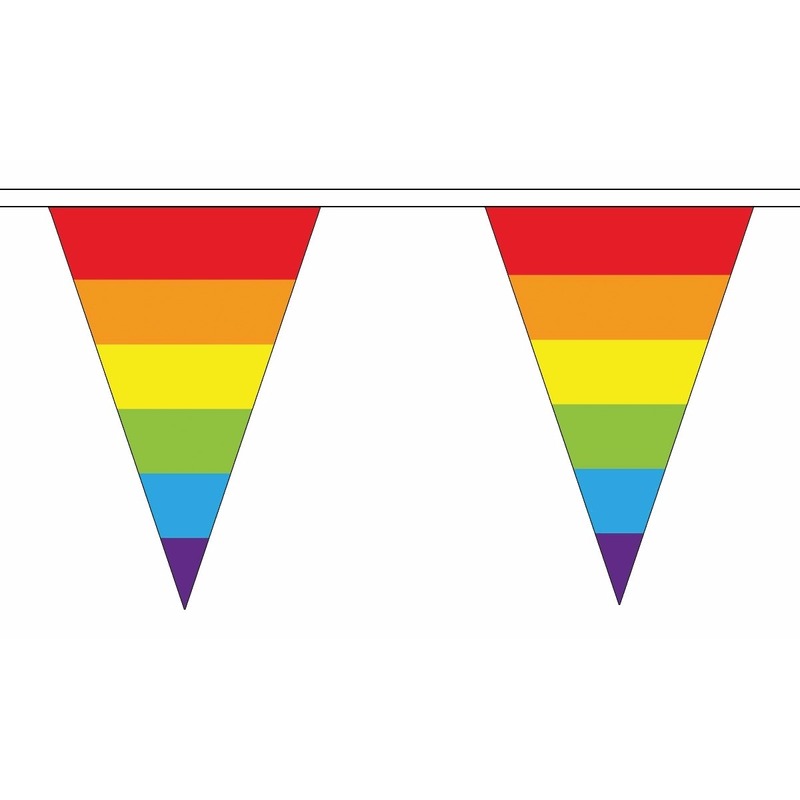 Polyester vlaggenlijnen regenboog vlaggetjes 5 meter