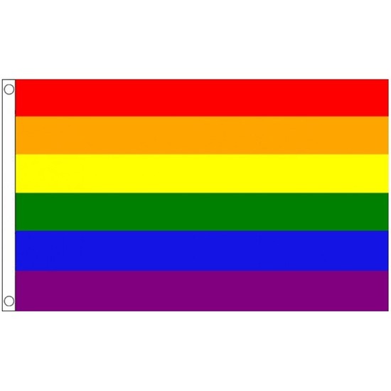 Regenboog LGBT vlag 60 x 90 cm
