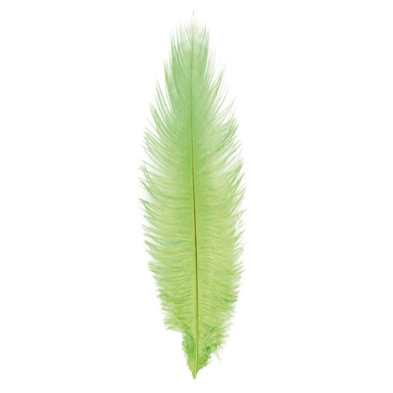 Struisvogelveer/sierveer - lime groen - 55-60 cm - decoratie/hobbymateriaal