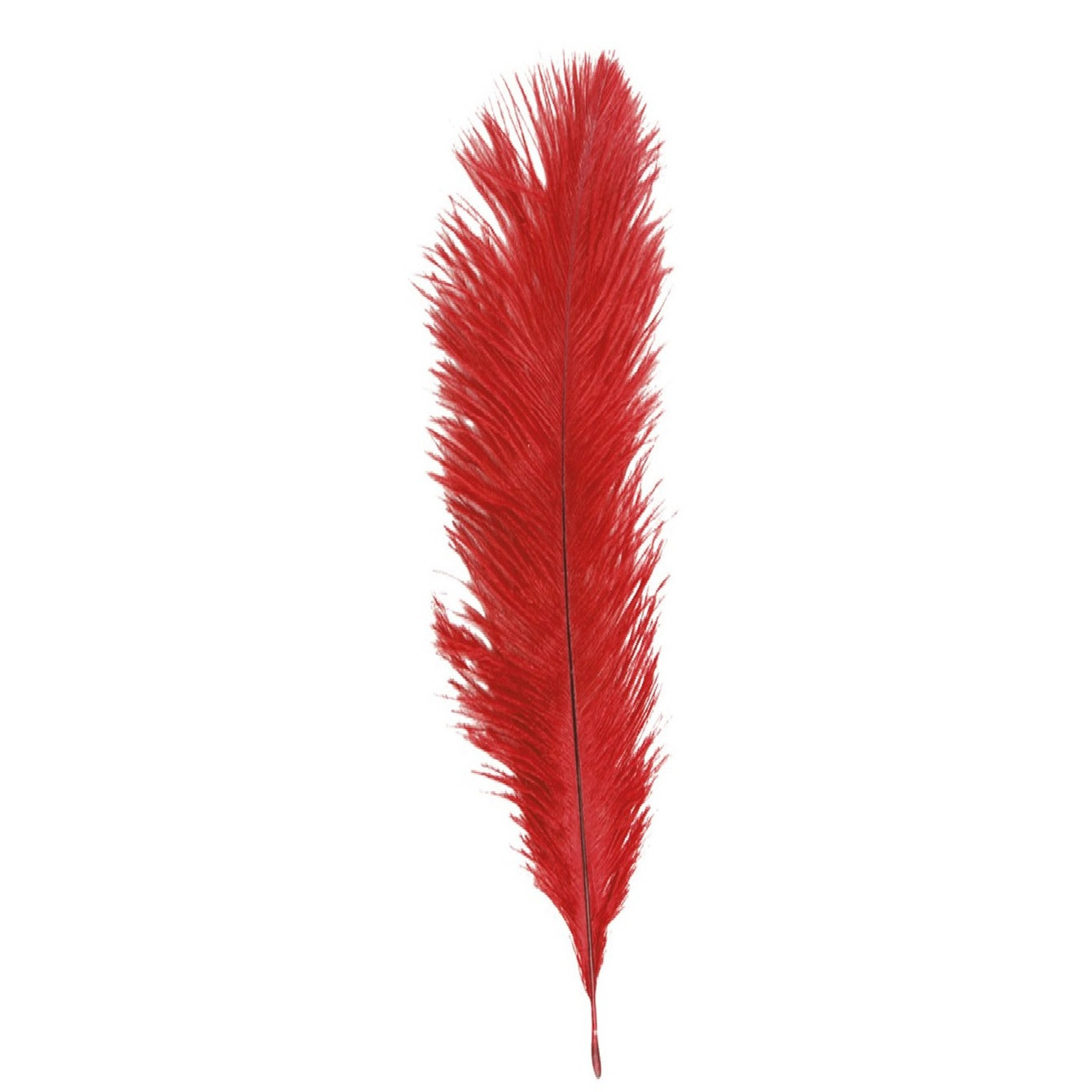 Struisvogelveer/sierveer - rood - 55-60 cm - decoratie/hobbymateriaal
