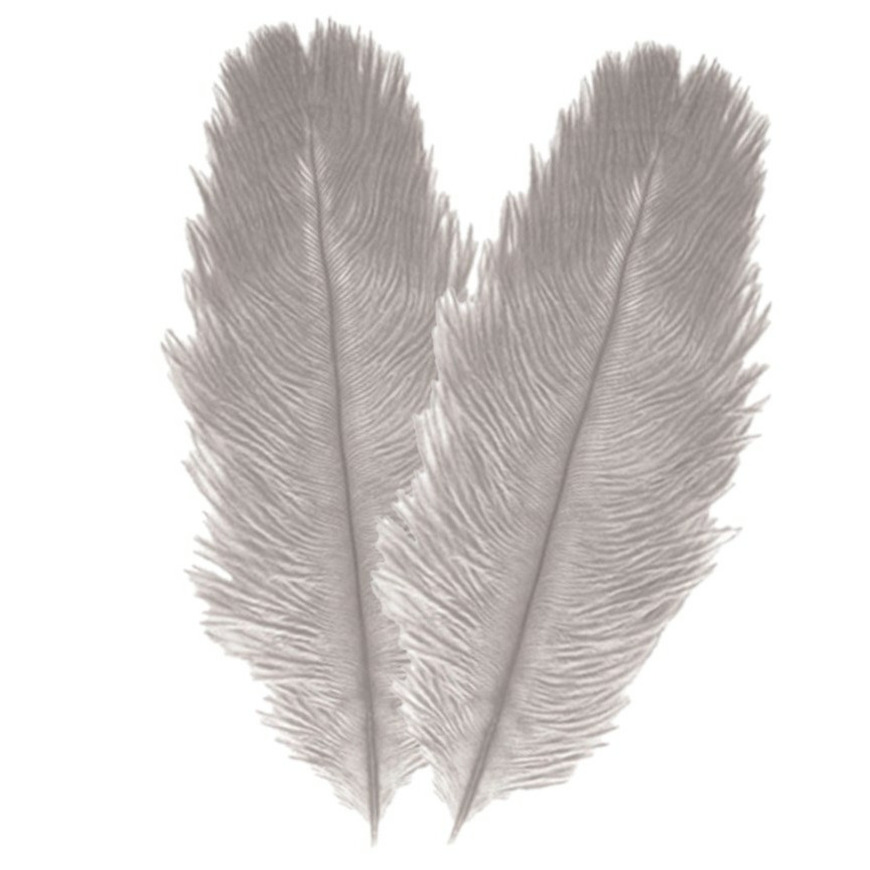 Struisvogelveren/sierveren - 2x - licht grijs - 30-35 cm - decoratie/hobbymateriaal