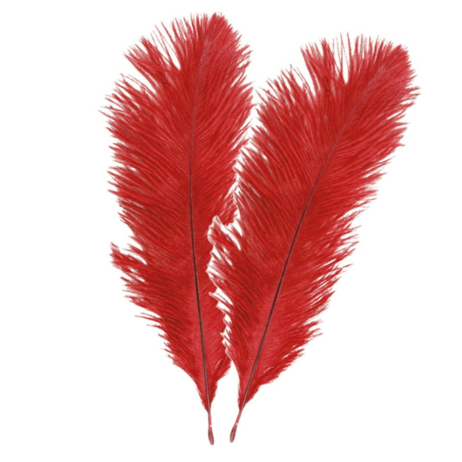 Struisvogelveren/sierveren - 2x - rood - 30-35 cm - decoratie/hobbymateriaal