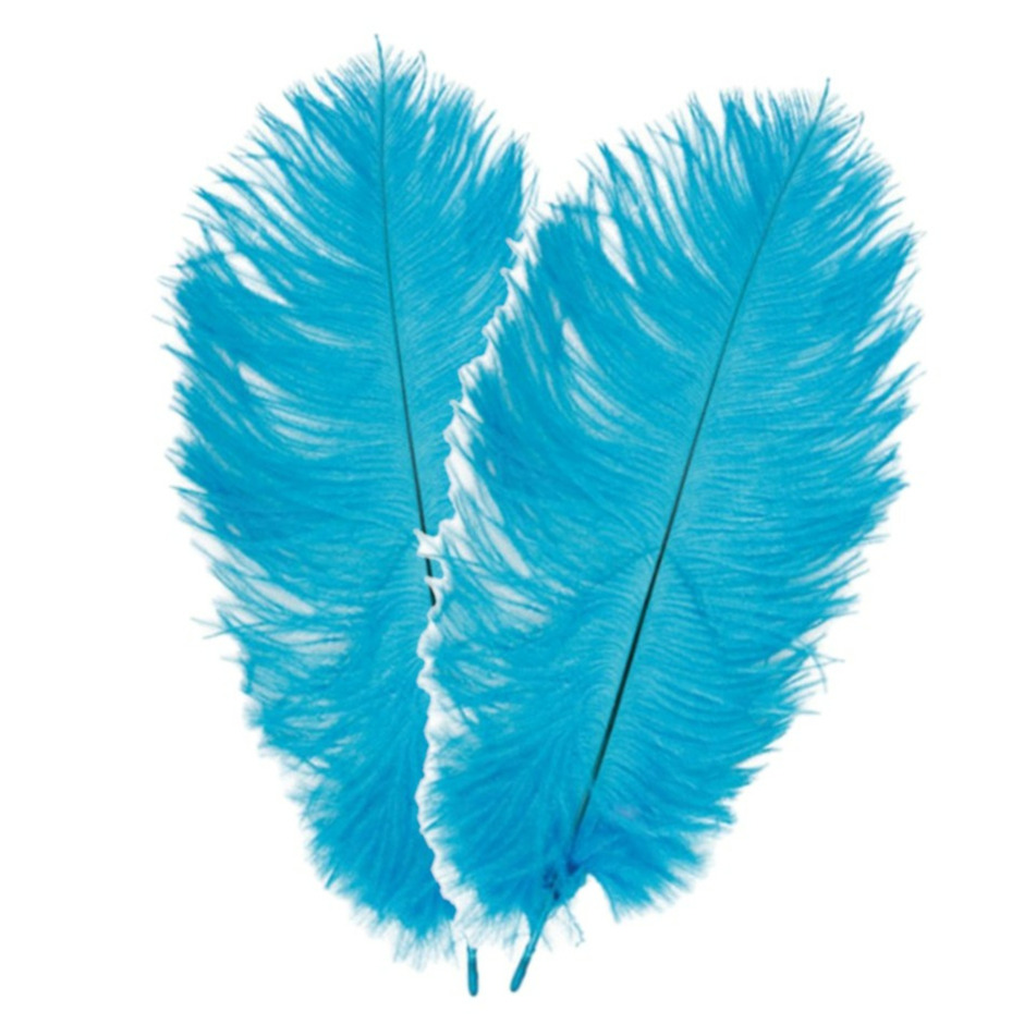 Struisvogelveren/sierveren - 2x - turquoise - 30-35 cm - decoratie/hobbymateriaal