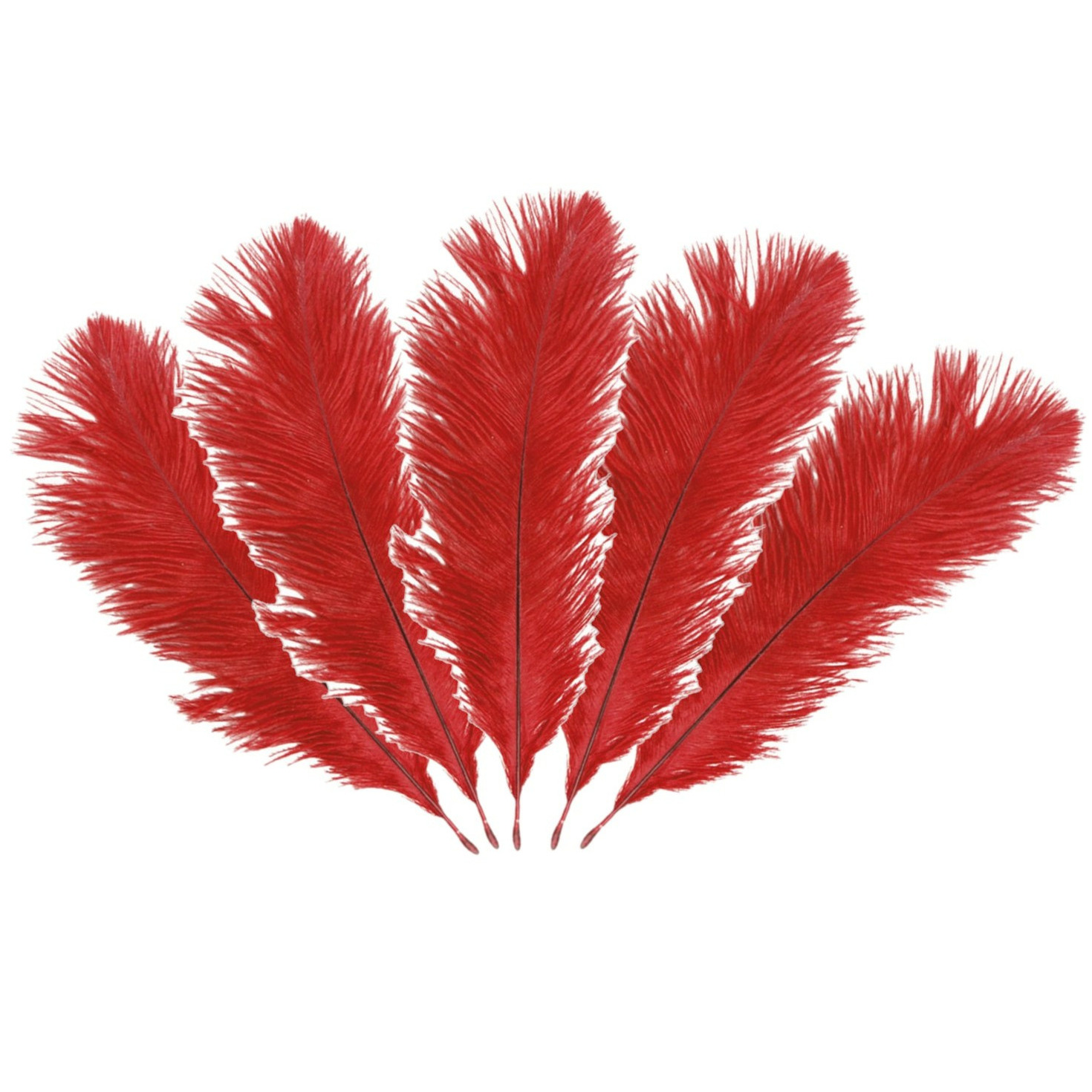 Struisvogelveren/sierveren - 5x - rood - 20-25 cm - decoratie/hobbymateriaal