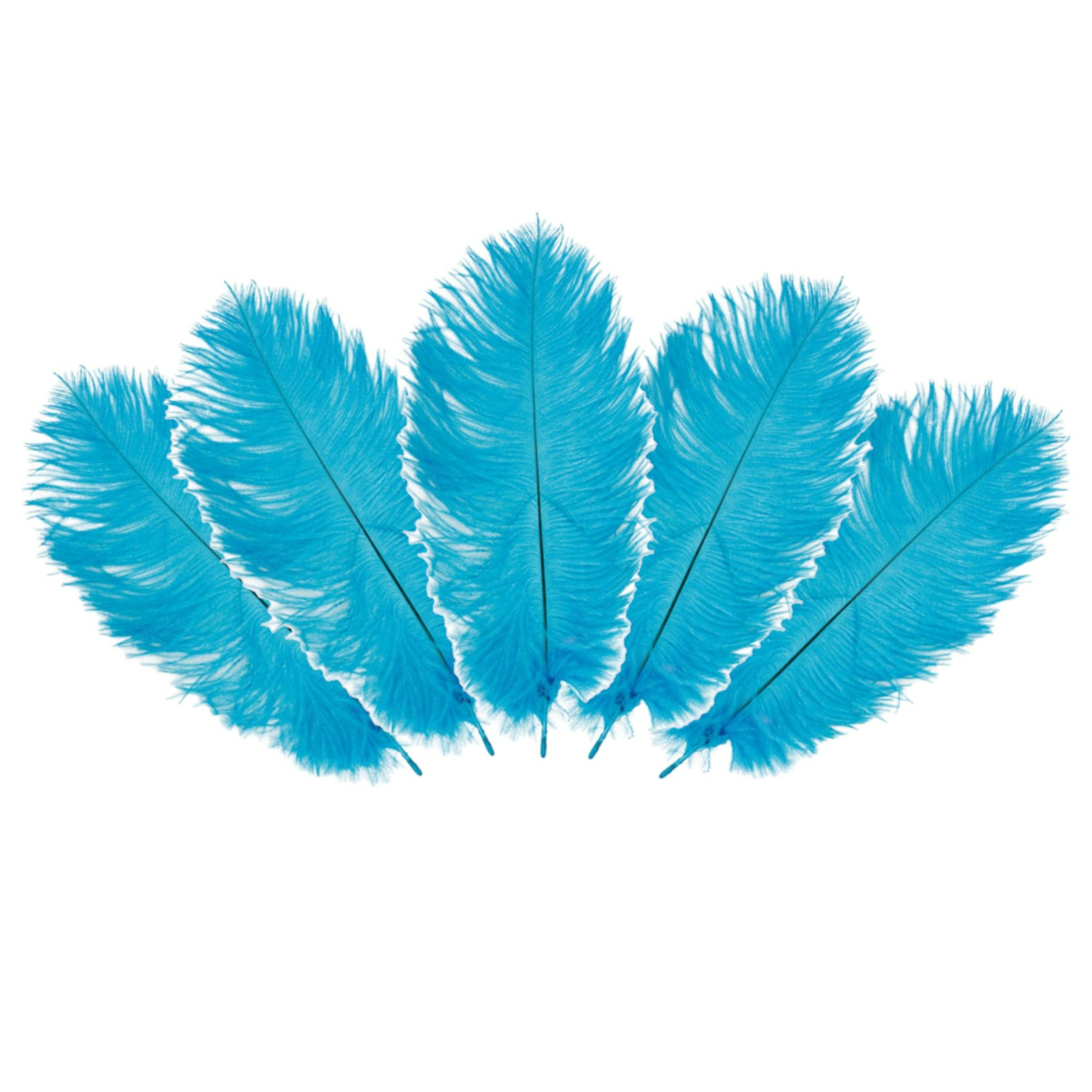 Struisvogelveren/sierveren - 5x - turquoise - 20-25 cm - decoratie/hobbymateriaal