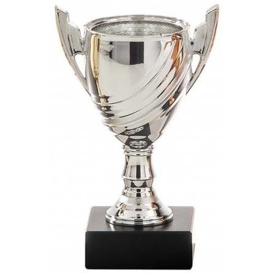 Zilveren trofee beker tweede prijs 13 cm