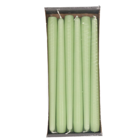 12x Light green dining candles 25 cm 8 hours
