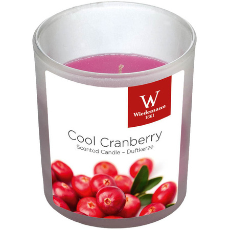 Scented candles set of 4x in holder cranberry and lavender 25 burning hours