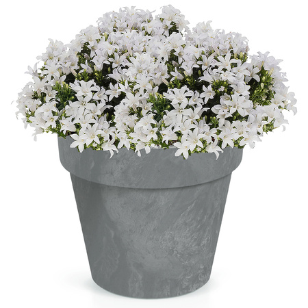 1x Artificial light grey flowerpot concrete look 30 cm