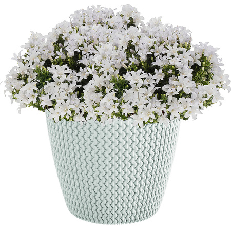 1x Kunststof Splofy bloempotten/plantenpotten wit 40 cm