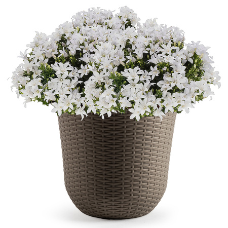 1x Taupe plant/flower pots 32 cm round