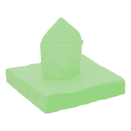 25x Pieces biodegradable napkins mint green - 40 x 40 cm - paper