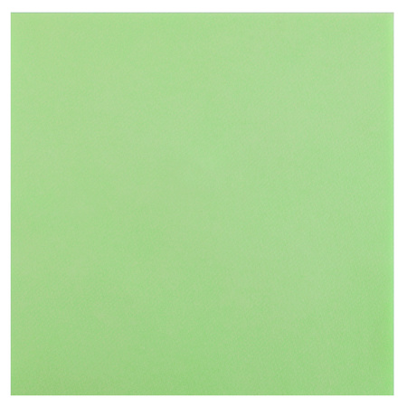 25x Pieces biodegradable napkins mint green - 40 x 40 cm - paper