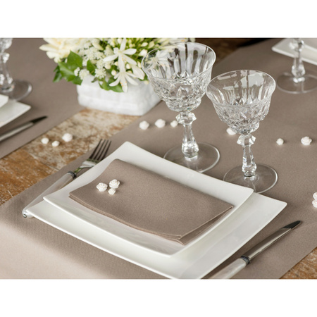 Santex partyplates 20x with 25x napkins taupe - paper