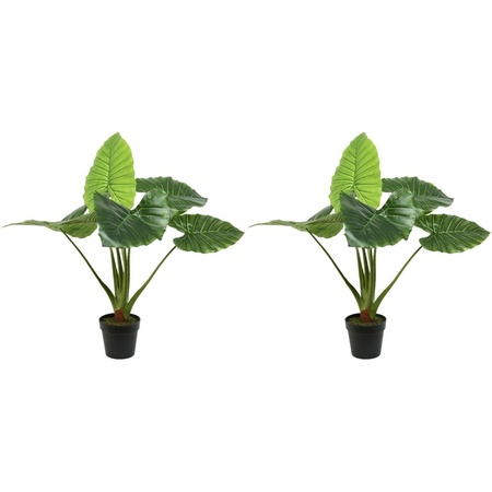 2x Green Colocasia/taro artificial plants 90 cm in pot