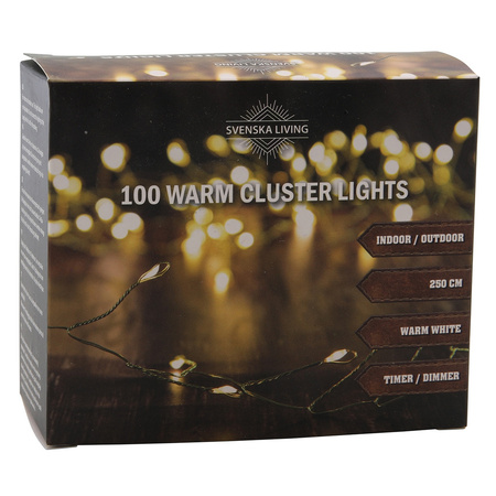 Cluster timer wire lighting with 100 warm white lights 250 cm