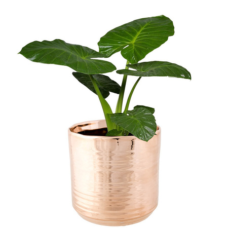 Cosy @ Home Flower pot Cerchio - copper colored - ceramic - 13 cm