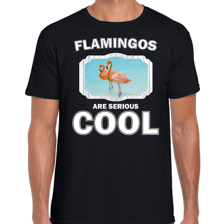 Animal flamingos are cool t-shirt black for men