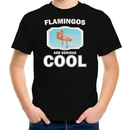 Dieren flamingo t-shirt zwart kinderen - flamingos are cool shirt jongens en meisjes