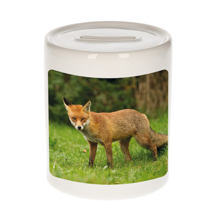 Animal photo money box foxes