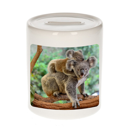 Animal photo money box koala bear