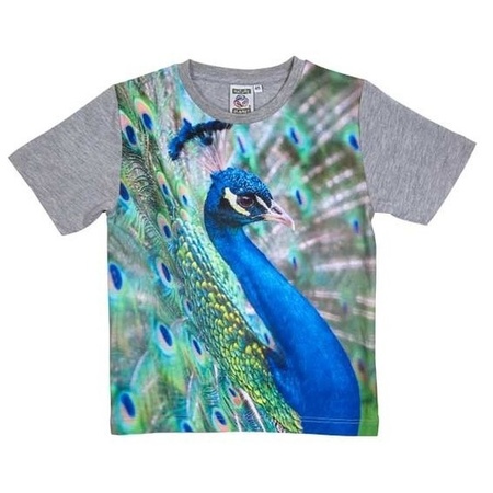 Grey t-shirt with peacock for kids