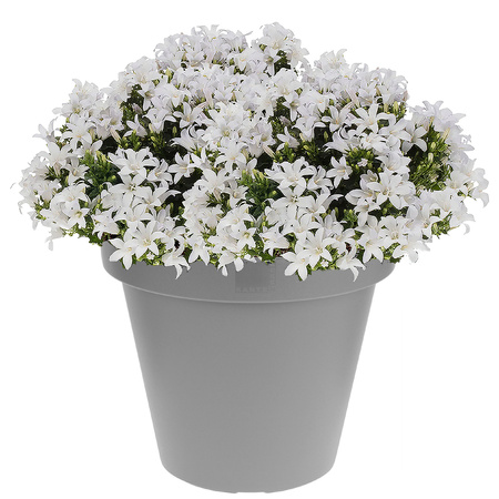Grey flowerpots 30 cm