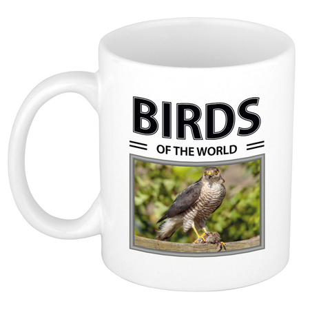 Animal photo mug Hawk birds of the world 300 ml