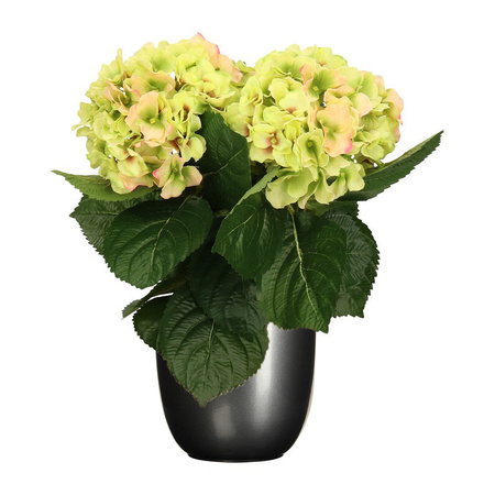 Hortensia kunstplant/kunstbloemen 36 cm - groen/roze - in pot titanium grijs glans