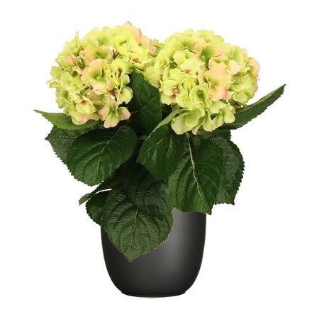 Green/pink Hydrangea artificial plant - 36 cm - in pot black matt