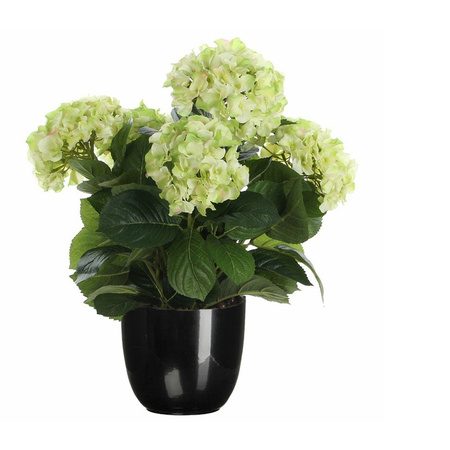 Hortensia kunstplant/kunstbloemen 45 cm - groen - in pot zwart glans