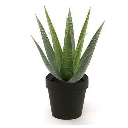 Kunstplant Aloe Vera - groen - in zwarte pot - 23 cm