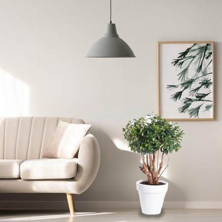 Artificial ficus plant green in black round pot