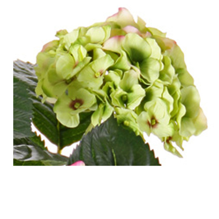 Kunstplant hortensia plant groen/roze 36 cm