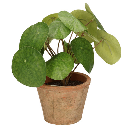 Kunstplant pilea/pannekoekplant - groen - in pot - 25 cm