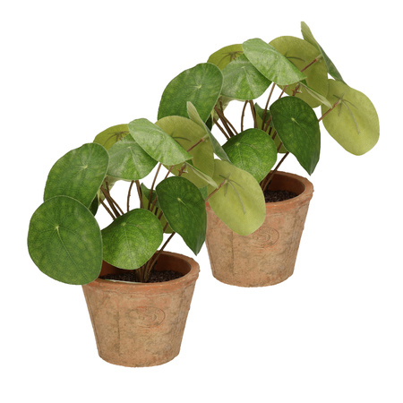Kunstplant pilea/pannekoekplant - groen - in pot - 25 cm