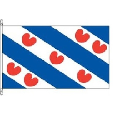 Flag Friesland, high quality