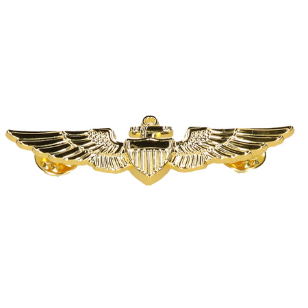 Carnaval aircraft Pilot set - hat - blue - with golden wings pin/broche - for men/woman
