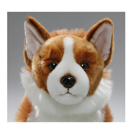 Pluche bruin/witte Corgi hond/honden knuffel 35 cm speelgoed
