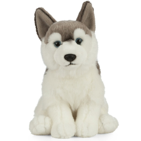 Pluche grijs/witte Husky hond/honden knuffel 25 cm speelgoed